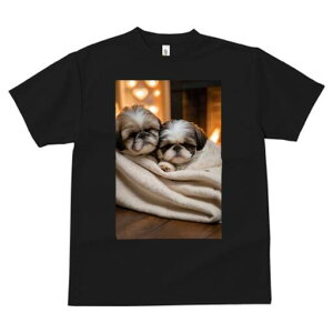 V[Y[ TVc fB[X t@  t  vg JWA 킢 lԗp h ̃fUC ʔ ѕz V[Y[ gF n[g