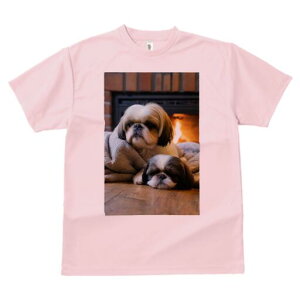 V[Y[ TVc fB[X t@  t  vg JWA 킢 lԗp h ̃fUC ʔ gF V[Y[ K ѕz 