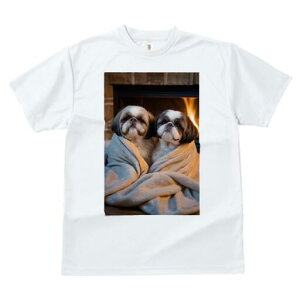 V[Y[ TVc fB[X t@  t  vg JWA 킢 lԗp h ̃fUC ʔ gF V[Y[ ѕz