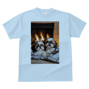 V[Y[ TVc fB[X t@  t  vg JWA 킢 lԗp h ̃fUC ʔ gF V[Y[  ѕz