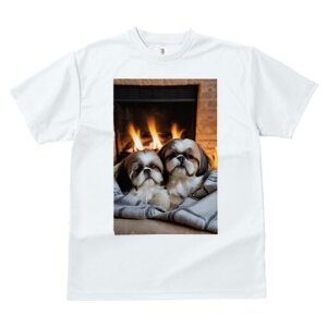 V[Y[ TVc fB[X t@  t  vg JWA 킢 lԗp h ̃fUC ʔ gF V[Y[  ѕz