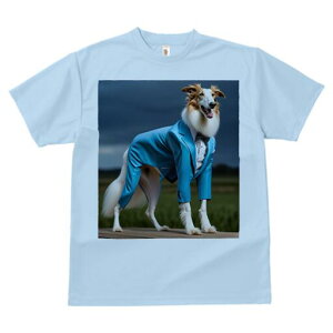 {]C TVc fB[X t@  t  vg JWA 킢 lԗp h ̃fUC ʔ X[c {]C tH[}EFA lN^C