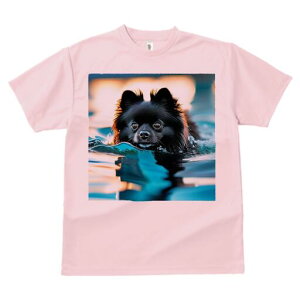 |jA TVc fB[X t@  t  vg JWA 킢 lԗp h ̃fUC ʔ  |jA 