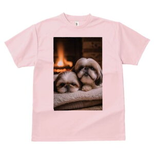 V[Y[ TVc fB[X t@  t  vg JWA 킢 lԗp h ̃fUC ʔ gF V[Y[ ѕz