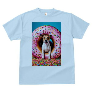 WbNbZeA TVc fB[X t@  t  vg JWA 킢 lԗp h ̃fUC ʔ h[ic WbNbZeA XvN