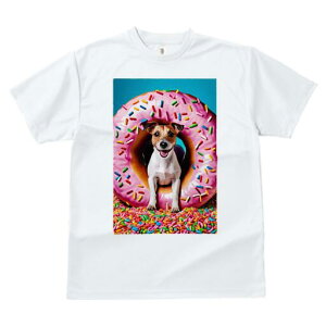 WbNbZeA TVc fB[X t@  t  vg JWA 킢 lԗp h ̃fUC ʔ h[ic WbNbZeA XvN