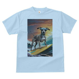 C^AO[nEh TVc fB[X t@  t  vg JWA 킢 lԗp h ̃fUC ʔ T[tB C^AO[nEh g C 