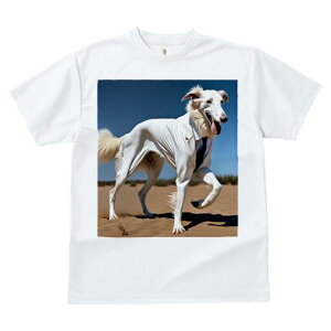 {]C TVc fB[X t@  t  vg JWA 킢 lԗp h ̃fUC ʔ X[c {]C lN^C  rWlX