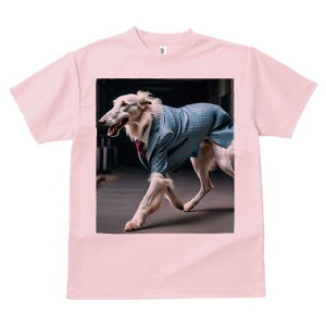 {]C TVc fB[X t@  t  vg JWA 킢 lԗp h ̃fUC ʔ X[c {]C lN^C