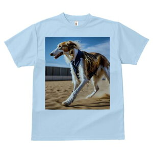 {]C TVc fB[X t@  t  vg JWA 킢 lԗp h ̃fUC ʔ X[c {]C lN^C l 