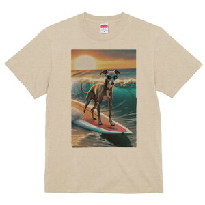 C^AO[nEh TVc fB[X t@  t  vg JWA 킢 lԗp h ̃fUC ʔ T[tB C^AO[nEh C g 