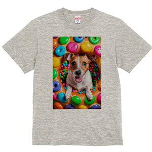 WbNbZeA TVc fB[X t@  t  vg JWA 킢 lԗp h ̃fUC ʔ h[ic WbNbZeA LfB