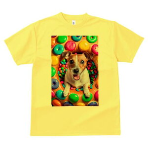 WbNbZeA TVc fB[X t@  t  vg JWA 킢 lԗp h ̃fUC ʔ h[ic WbNbZeA LfB