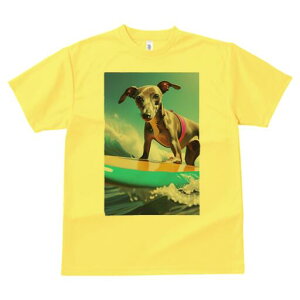 C^AO[nEh TVc fB[X t@  t  vg JWA 킢 lԗp h ̃fUC ʔ T[tB C^AO[nEh g C