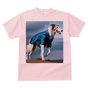 {]C TVc fB[X t@  t  vg JWA 킢 lԗp h ̃fUC ʔ X[c {]C lN^C