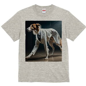 {]C TVc fB[X t@  t  vg JWA 킢 lԗp h ̃fUC ʔ X[c {]C lN^C