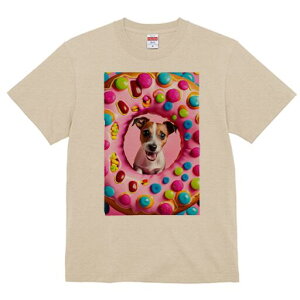 WbNbZeA TVc fB[X t@  t  vg JWA 킢 lԗp h ̃fUC ʔ h[ic WbNbZeA XC[c 