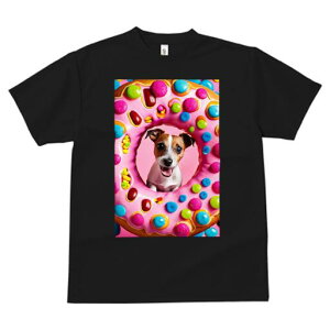 WbNbZeA TVc fB[X t@  t  vg JWA 킢 lԗp h ̃fUC ʔ h[ic WbNbZeA XC[c 