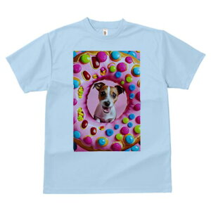 WbNbZeA TVc Y LbY t@  t  vg JWA 킢 lԗp h ̃fUC ʔ h[ic WbNbZeA XC[c 