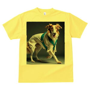 {]C TVc fB[X t@  t  vg JWA 킢 lԗp h ̃fUC ʔ {]C