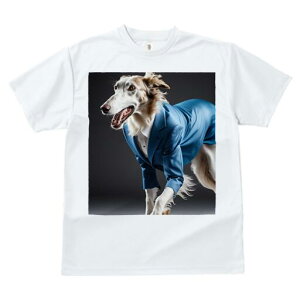 {]C TVc fB[X t@  t  vg JWA 킢 lԗp h ̃fUC ʔ X[c {]C