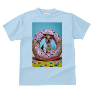 WbNbZeA TVc fB[X t@  t  vg JWA 킢 lԗp h ̃fUC ʔ h[ic WbNbZeA XvN