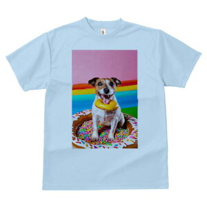 WbNbZeA TVc fB[X t@  t  vg JWA 킢 lԗp h ̃fUC ʔ h[ic WbNbZeA XvN