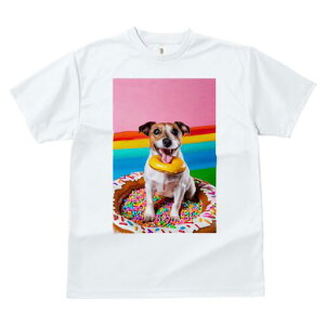 WbNbZeA TVc fB[X t@  t  vg JWA 킢 lԗp h ̃fUC ʔ h[ic WbNbZeA XvN