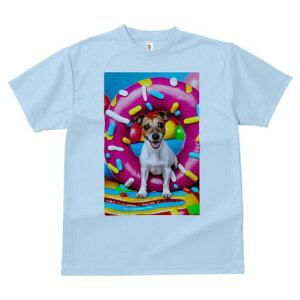 WbNbZeA TVc fB[X t@  t  vg JWA 킢 lԗp h ̃fUC ʔ h[ic WbNbZeA XvN