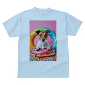 WbNbZeA TVc fB[X t@  t  vg JWA 킢 lԗp h ̃fUC ʔ h[ic WbNbZeA XvN