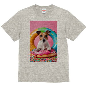 WbNbZeA TVc fB[X t@  t  vg JWA 킢 lԗp h ̃fUC ʔ h[ic WbNbZeA XvN