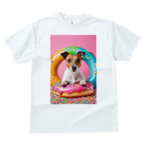 WbNbZeA TVc fB[X t@  t  vg JWA 킢 lԗp h ̃fUC ʔ h[ic WbNbZeA XvN