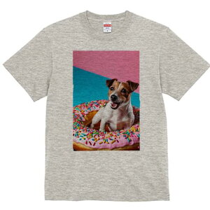 WbNbZeA TVc fB[X t@  t  vg JWA 킢 lԗp h ̃fUC ʔ h[ic WbNbZeA XvN