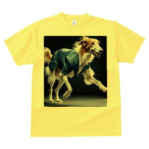 {]C TVc fB[X t@  t  vg JWA 킢 lԗp h ̃fUC ʔ X[c {]C