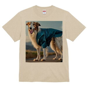 {]C TVc fB[X t@  t  vg JWA 킢 lԗp h ̃fUC ʔ WPbg {]C