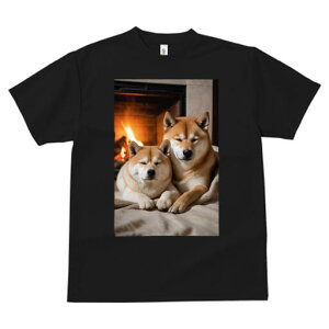 Č TVc fB[X t@  t  vg JWA 킢 lԗp h ̃fUC ʔ gF Č  ѕz