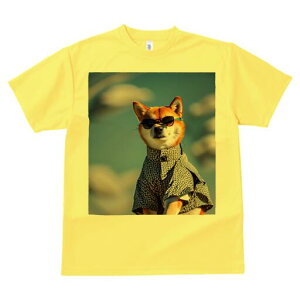 Č TVc fB[X t@  t  vg JWA 킢 lԗp h ̃fUC ʔ TOX Č WPbg t@bV