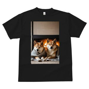 Č TVc fB[X t@  t  vg JWA 킢 lԗp h ̃fUC ʔ gF Č uPbg