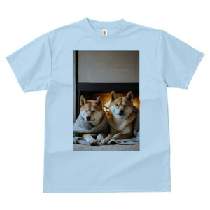 Č TVc fB[X t@  t  vg JWA 킢 lԗp h ̃fUC ʔ gF Č uPbg