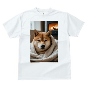 Č TVc fB[X t@  t  vg JWA 킢 lԗp h ̃fUC ʔ gF Č ѕz g bNX