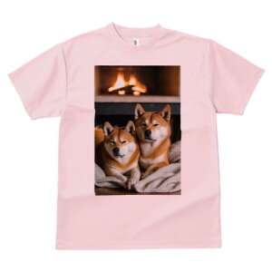 Č TVc fB[X t@  t  vg JWA 킢 lԗp h ̃fUC ʔ gF Č