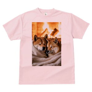 Č TVc fB[X t@  t  vg JWA 킢 lԗp h ̃fUC ʔ gF Č ѕz