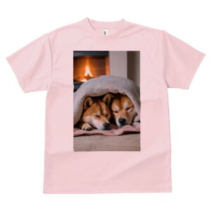 Č TVc fB[X t@  t  vg JWA 킢 lԗp h ̃fUC ʔ gF Č ѕz x 