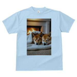 柴犬 Tシャツ レディース 犬ファン 半袖 春夏 犬柄 プリント カジュアル かわいい 人間用 個性派 ここだけのデザイン 面白 暖炉 柴犬 毛布