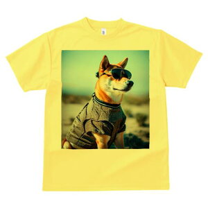 Č TVc fB[X t@  t  vg JWA 킢 lԗp h ̃fUC ʔ TOX Č 