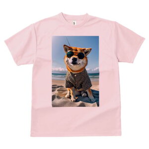 Č TVc fB[X t@  t  vg JWA 킢 lԗp h ̃fUC ʔ TOX Č r[` Vc