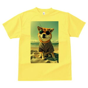 Č TVc fB[X t@  t  vg JWA 킢 lԗp h ̃fUC ʔ TOX Č r[` Vc