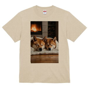 柴犬 Tシャツ レディース 犬ファン 半袖 春夏 犬柄 プリント カジュアル かわいい 人間用 個性派 ここだけのデザイン 面白 暖炉 柴犬 毛布 木材