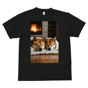 Č TVc fB[X t@  t  vg JWA 킢 lԗp h ̃fUC ʔ gF Č ѕz ؍