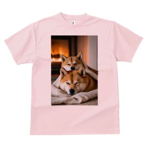 Č TVc fB[X t@  t  vg JWA 킢 lԗp h ̃fUC ʔ gF Č ѕz